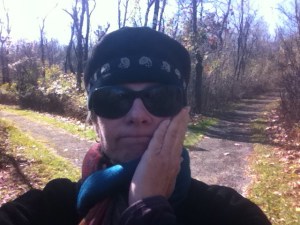 in the Shenadoah National Park